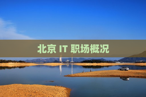 北京 IT 职场概况