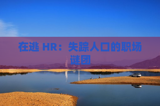 在逃 HR：失踪人口的职场谜团