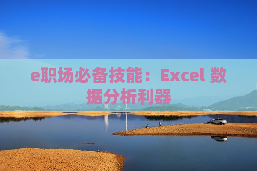 e职场必备技能：Excel 数据分析利器