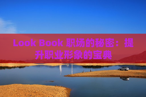 Look Book 职场的秘密：提升职业形象的宝典