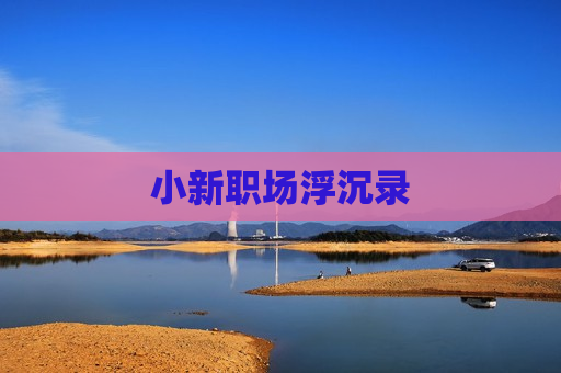 小新职场浮沉录