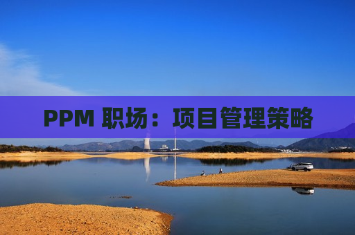 PPM 职场：项目管理策略