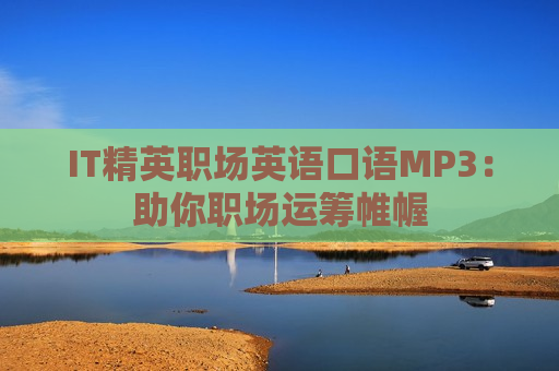 IT精英职场英语口语MP3：助你职场运筹帷幄