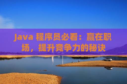 Java 程序员必看：赢在职场，提升竞争力的秘诀