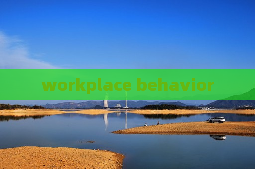 workplace behavior