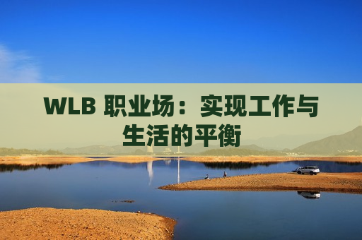 WLB 职业场：实现工作与生活的平衡