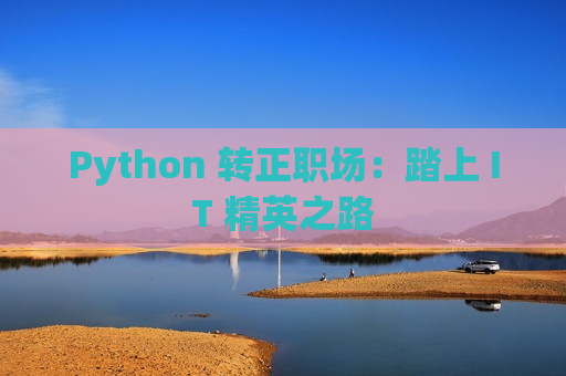 Python 转正职场：踏上 IT 精英之路