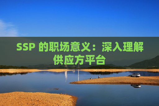 SSP 的职场意义：深入理解供应方平台