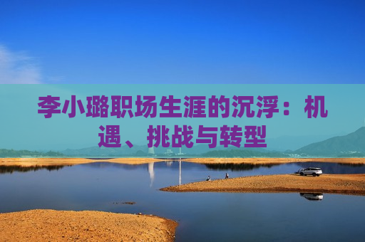 李小璐职场生涯的沉浮：机遇、挑战与转型