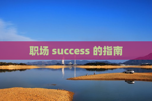 职场 success 的指南