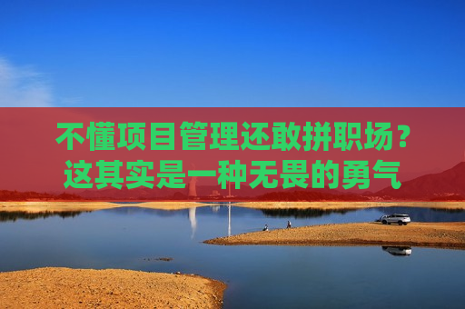 不懂项目管理还敢拼职场？这其实是一种无畏的勇气