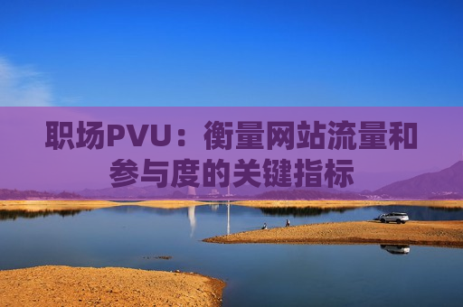 职场PVU：衡量网站流量和参与度的关键指标