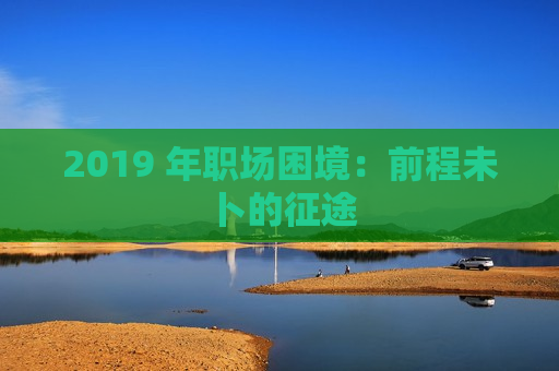 2019 年职场困境：前程未卜的征途