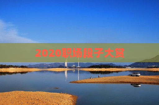 2020职场段子大赏